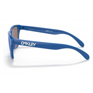 Oakley Frogskins Xs Youth Fit Origins Collection Sapphire Frame Fire Iridium Lens