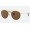 Ray Ban Round Double Bridge RB3647 Polarized Classic B-15 And Gold Frame Brown Classic B-15 Lens
