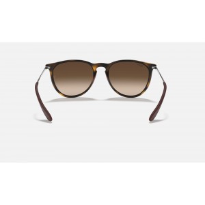 Ray Ban Erika Classic Low Bridge Fit RB4171 Gradient And Tortoise Frame Brown Gradient Lens