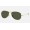 Ray Ban Cockpit RB3362 Green Classic G-15 Gold