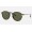 Ray Ban Round Fleck RB2447 Classic G-15 And Tortoise Frame Green Classic G-15 Lens