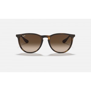 Ray Ban Erika Classic RB4171 Gradient And Tortoise Frame Brown Gradient Lens