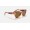 Ray Ban State Street RB2186 Brown Classic Brown Tortoise