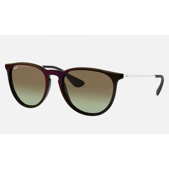 Ray Ban Erika Classic RB4171 Gradient And Black Frame Brown Gradient Lens