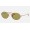 Ray Ban Oval Washed Evolve RB3547 Green Photochromic Evolve Copper