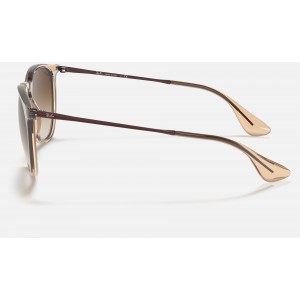 Ray Ban Erika Color Mix RB4171 Gradient And Shiny Transparent Brown Frame Brown Gradient Lens