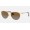 Ray Ban Erika Metal RB3539 Polarized Gradient And Gold Frame Brown Gradient Lens