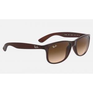 Ray Ban New Wayfarer Andy RB4202 Gradient And Brown Frame Brown Gradient Lens