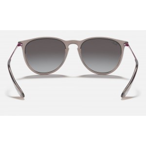 Ray Ban Erika Color Mix RB4171 Gradient And Shiny Transparent Grey Frame Grey Gradient Lens