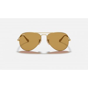 Ray Ban Aviator Washed Evolve RB325 Brown Photochromic Evolve Gold